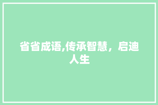 省省成语,传承智慧，启迪人生