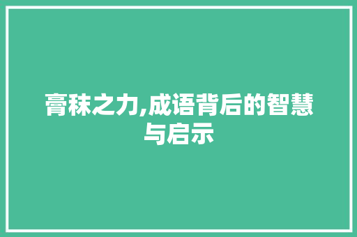 膏秣之力,成语背后的智慧与启示 职场写作