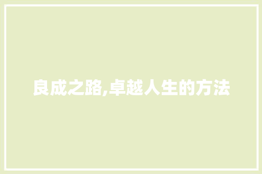 良成之路,卓越人生的方法