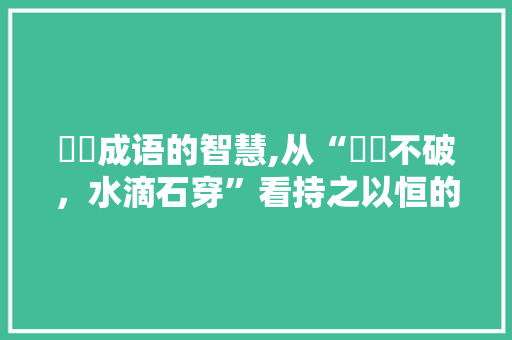 蒟蒻成语的智慧,从“蒟蒻不破，水滴石穿”看持之以恒的力量 会议纪要