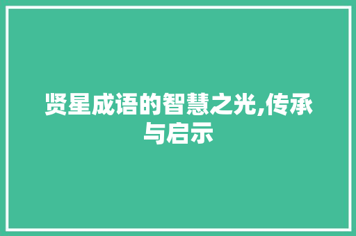 贤星成语的智慧之光,传承与启示 工作总结