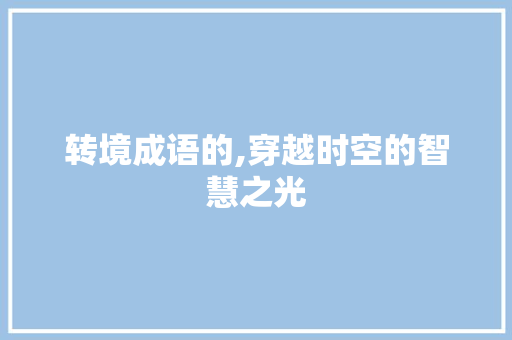 转境成语的,穿越时空的智慧之光