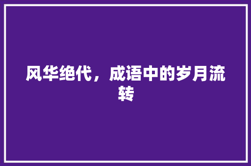 风华绝代，成语中的岁月流转