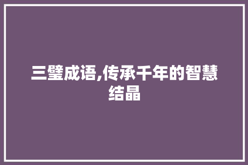 三璧成语,传承千年的智慧结晶 项目报告