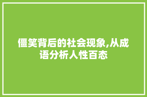 僵笑背后的社会现象,从成语分析人性百态