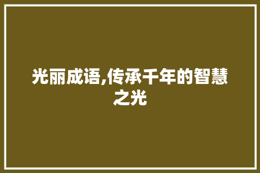 光丽成语,传承千年的智慧之光