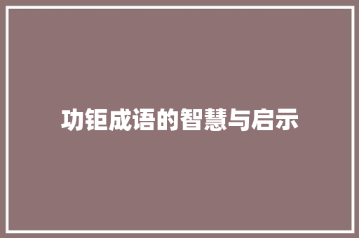 功钜成语的智慧与启示