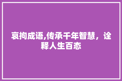 哀拘成语,传承千年智慧，诠释人生百态