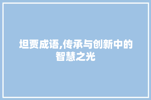 坦贾成语,传承与创新中的智慧之光 诗词体裁