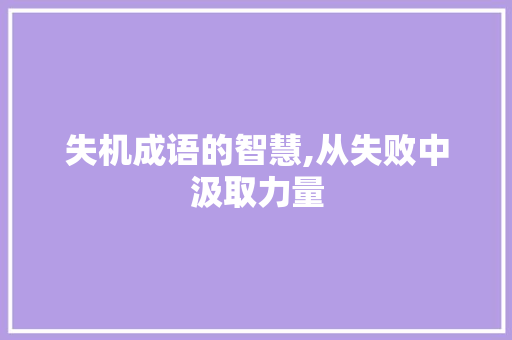 失机成语的智慧,从失败中汲取力量 职场写作