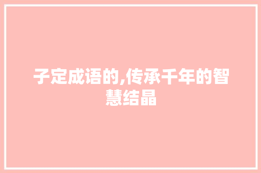 子定成语的,传承千年的智慧结晶 项目报告
