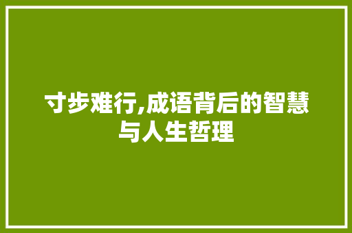 寸步难行,成语背后的智慧与人生哲理 诗词体裁