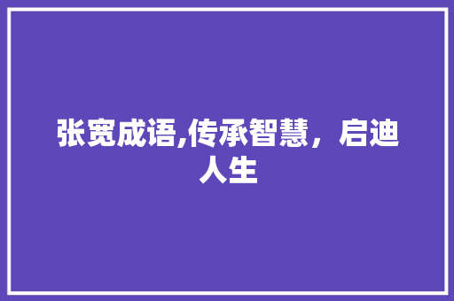 张宽成语,传承智慧，启迪人生