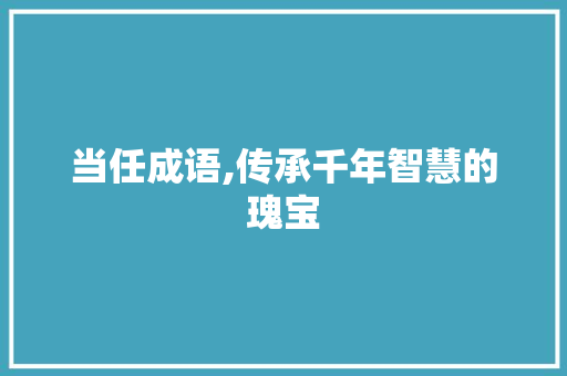 当任成语,传承千年智慧的瑰宝 工作总结