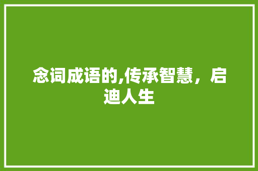 念词成语的,传承智慧，启迪人生