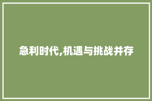 急利时代,机遇与挑战并存