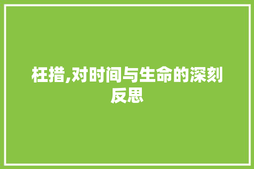 枉措,对时间与生命的深刻反思