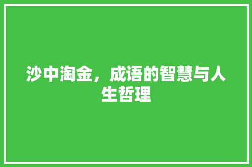 沙中淘金，成语的智慧与人生哲理