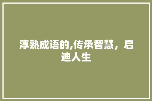 淳熟成语的,传承智慧，启迪人生