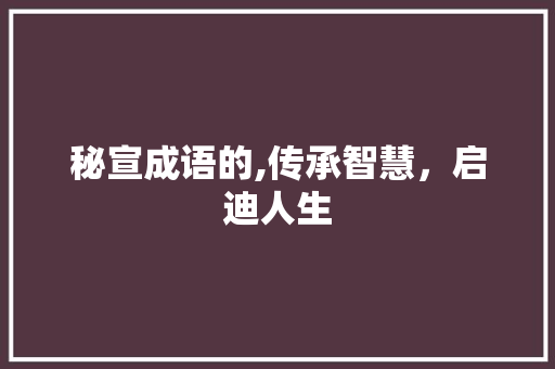 秘宣成语的,传承智慧，启迪人生