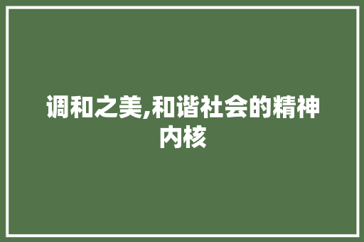 调和之美,和谐社会的精神内核