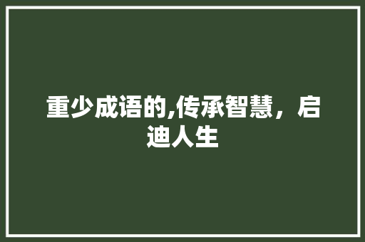 重少成语的,传承智慧，启迪人生