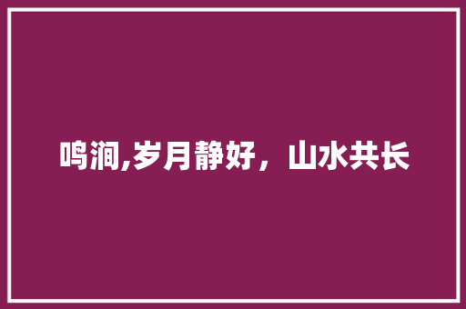 鸣涧,岁月静好，山水共长 项目报告