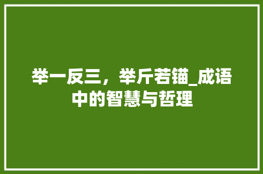 举一反三，举斤若锚_成语中的智慧与哲理 诗词鉴赏
