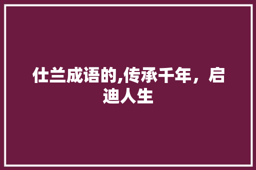 仕兰成语的,传承千年，启迪人生 社交媒体