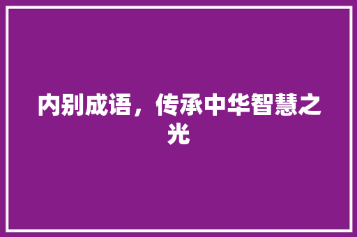 内别成语，传承中华智慧之光 项目报告