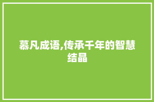 慕凡成语,传承千年的智慧结晶 社交媒体