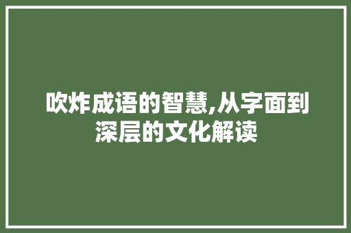 吹炸成语的智慧,从字面到深层的文化解读 项目报告