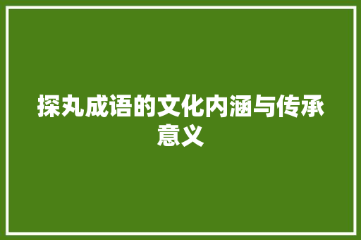 探丸成语的文化内涵与传承意义
