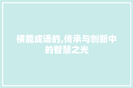 横能成语的,传承与创新中的智慧之光