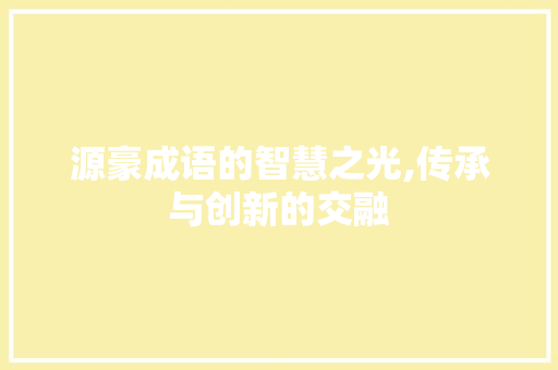 源豪成语的智慧之光,传承与创新的交融 会议纪要