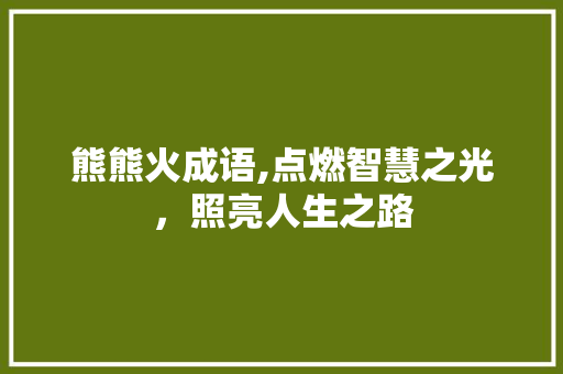 熊熊火成语,点燃智慧之光，照亮人生之路 项目报告
