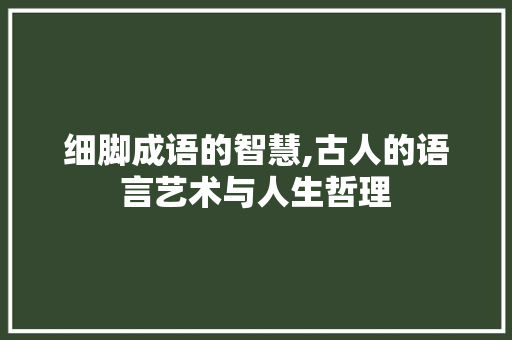 细脚成语的智慧,古人的语言艺术与人生哲理