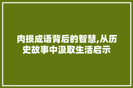 肉损成语背后的智慧,从历史故事中汲取生活启示 诗词应用