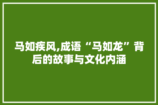 马如疾风,成语“马如龙”背后的故事与文化内涵