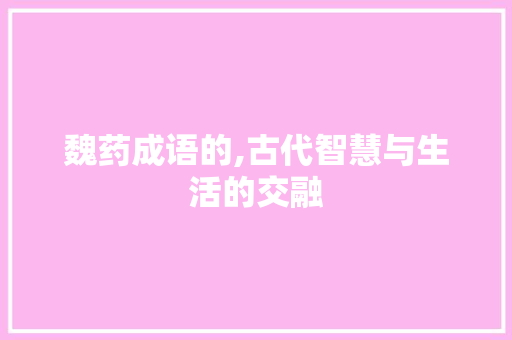 魏药成语的,古代智慧与生活的交融 会议纪要
