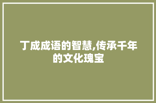 丁成成语的智慧,传承千年的文化瑰宝