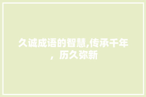 久诚成语的智慧,传承千年，历久弥新
