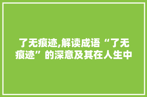 了无痕迹,解读成语“了无痕迹”的深意及其在人生中的应用