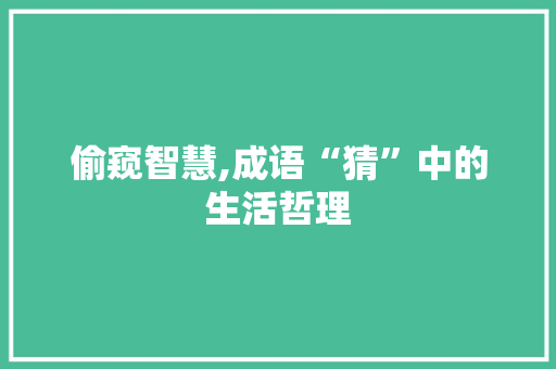 偷窥智慧,成语“猜”中的生活哲理