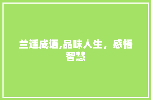 兰适成语,品味人生，感悟智慧