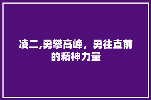 凌二,勇攀高峰，勇往直前的精神力量