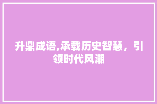 升鼎成语,承载历史智慧，引领时代风潮 工作总结