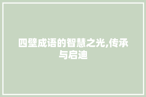 四壁成语的智慧之光,传承与启迪