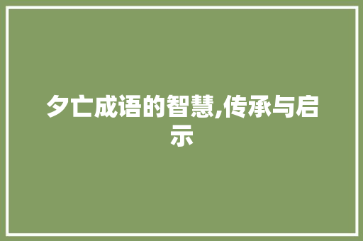 夕亡成语的智慧,传承与启示