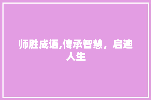 师胜成语,传承智慧，启迪人生